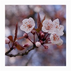 Cherry Blossoms Medium Glasses Cloth (2-side) by trendistuff