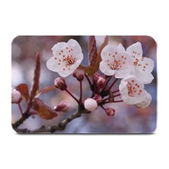 Cherry Blossoms Plate Mats