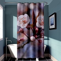 Cherry Blossoms Shower Curtain 36  X 72  (stall) 