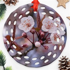 Cherry Blossoms Ornament (round Filigree) 