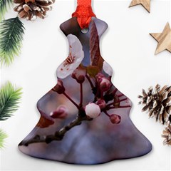 Cherry Blossoms Christmas Tree Ornament (2 Sides)