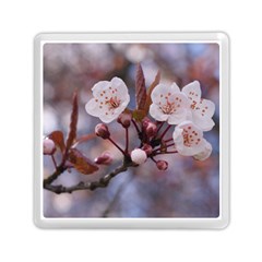 Cherry Blossoms Memory Card Reader (square) 