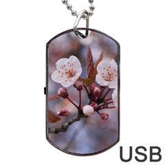 Cherry Blossoms Dog Tag Usb Flash (one Side)