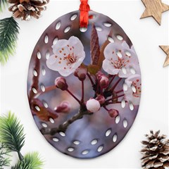 Cherry Blossoms Oval Filigree Ornament (2-side) 