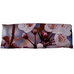 Cherry Blossoms Body Pillow Cases (dakimakura) 