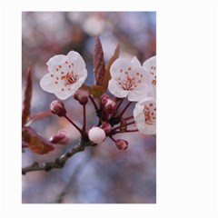 Cherry Blossoms Large Garden Flag (two Sides)