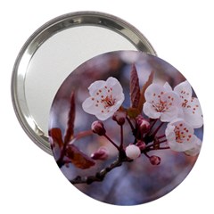 Cherry Blossoms 3  Handbag Mirrors by trendistuff