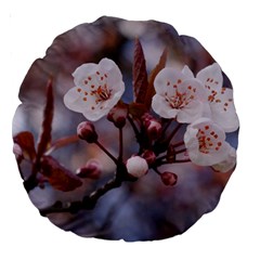 Cherry Blossoms Large 18  Premium Round Cushions by trendistuff