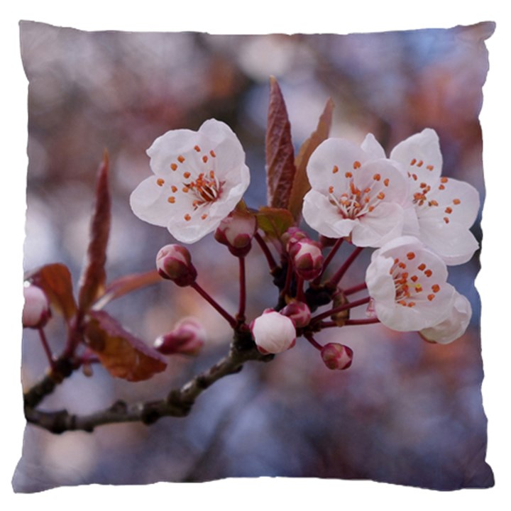 CHERRY BLOSSOMS Standard Flano Cushion Cases (One Side) 