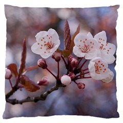 Cherry Blossoms Large Flano Cushion Cases (one Side) 