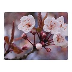 Cherry Blossoms Double Sided Flano Blanket (mini) 