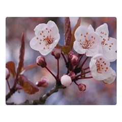 Cherry Blossoms Double Sided Flano Blanket (large) 