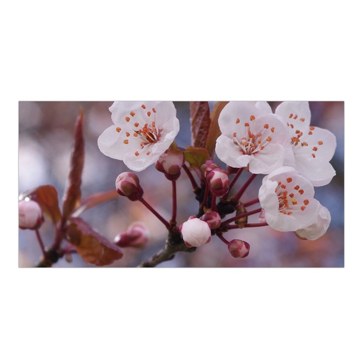 CHERRY BLOSSOMS Satin Shawl