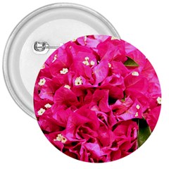 Bougainvillea 3  Buttons