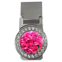 Bougainvillea Money Clips (cz)  by trendistuff