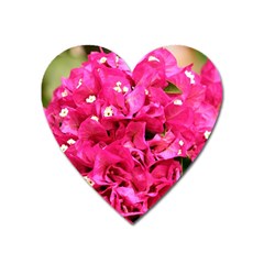 Bougainvillea Heart Magnet by trendistuff