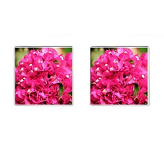 Bougainvillea Cufflinks (square) by trendistuff