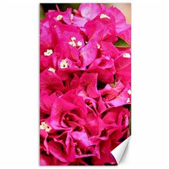 Bougainvillea Canvas 40  X 72   by trendistuff