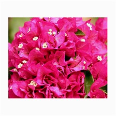 Bougainvillea Small Glasses Cloth (2-side) by trendistuff