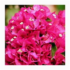 Bougainvillea Medium Glasses Cloth (2-side) by trendistuff