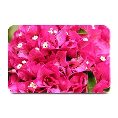 Bougainvillea Plate Mats