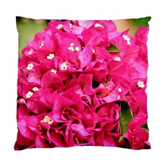 Bougainvillea Standard Cushion Cases (two Sides)  by trendistuff