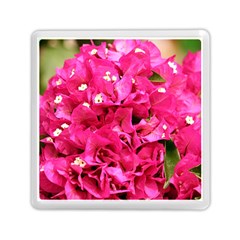 Bougainvillea Memory Card Reader (square) 