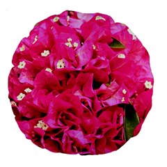 Bougainvillea Large 18  Premium Round Cushions by trendistuff