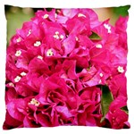 BOUGAINVILLEA Standard Flano Cushion Cases (One Side)  Front