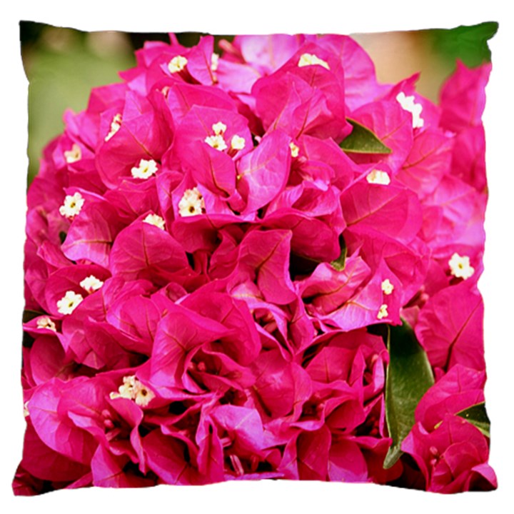 BOUGAINVILLEA Standard Flano Cushion Cases (One Side) 