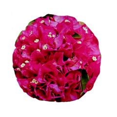 Bougainvillea Standard 15  Premium Flano Round Cushions