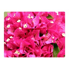 Bougainvillea Double Sided Flano Blanket (mini) 