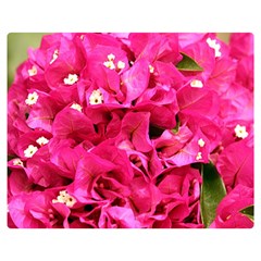 Bougainvillea Double Sided Flano Blanket (medium) 