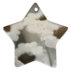 BLACK AND WHITE FLOWER Ornament (Star) 