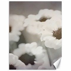 BLACK AND WHITE FLOWER Canvas 18  x 24  