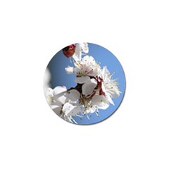 Apricot Blossoms Golf Ball Marker (4 Pack) by trendistuff