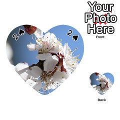 Apricot Blossoms Playing Cards 54 (heart)  by trendistuff