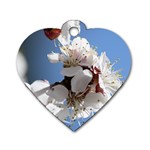 APRICOT BLOSSOMS Dog Tag Heart (One Side) Front