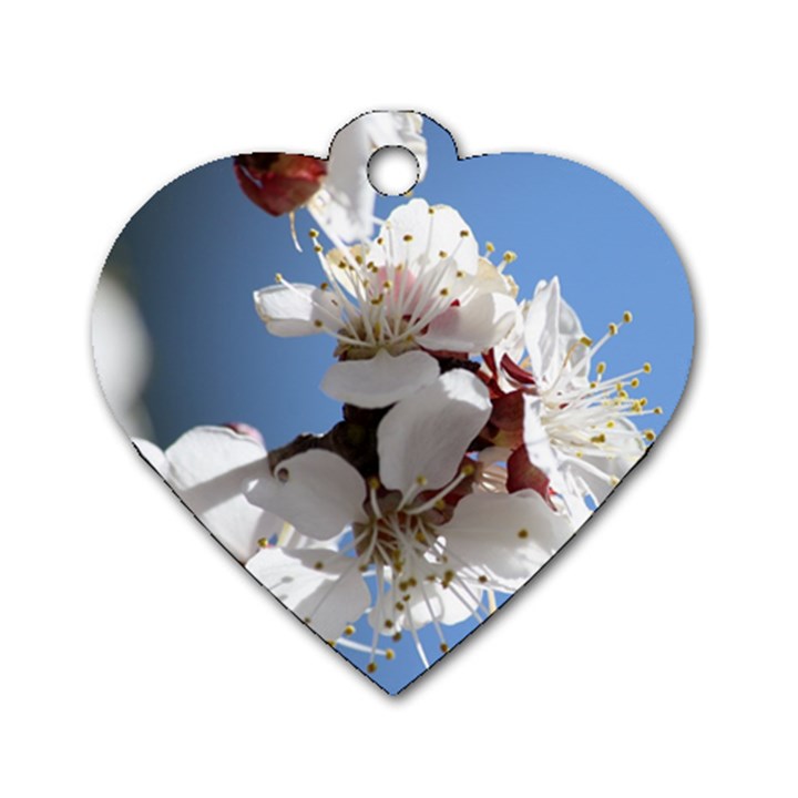 APRICOT BLOSSOMS Dog Tag Heart (One Side)