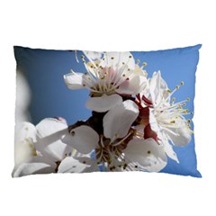 Apricot Blossoms Pillow Cases by trendistuff