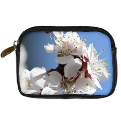 Apricot Blossoms Digital Camera Cases by trendistuff