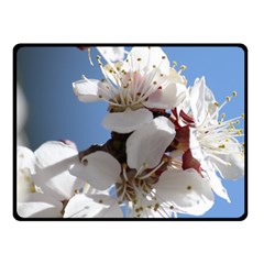 Apricot Blossoms Fleece Blanket (small)