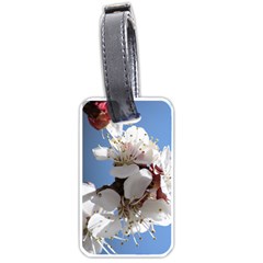 Apricot Blossoms Luggage Tags (one Side) 