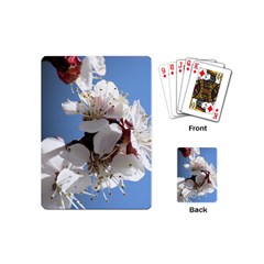 Apricot Blossoms Playing Cards (mini)  by trendistuff