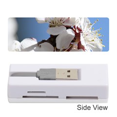 Apricot Blossoms Memory Card Reader (stick) 