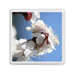 Apricot Blossoms Memory Card Reader (square) 