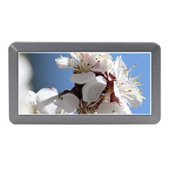 Apricot Blossoms Memory Card Reader (mini)