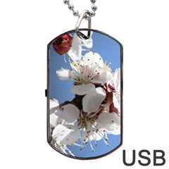 Apricot Blossoms Dog Tag Usb Flash (two Sides) 