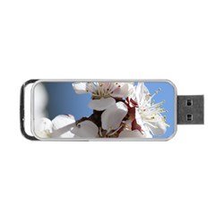 Apricot Blossoms Portable Usb Flash (one Side)