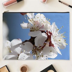 Apricot Blossoms Cosmetic Bag (xxxl)  by trendistuff